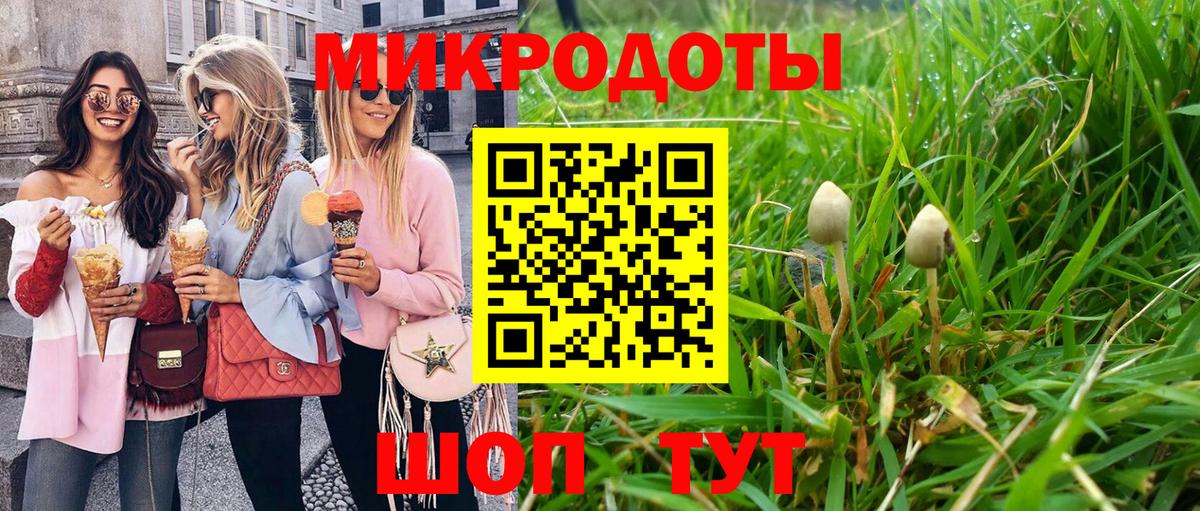 Псилоцибиновые грибы GOLDEN TEACHER  Вход с VPN  Энгельс 